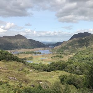Ladies View