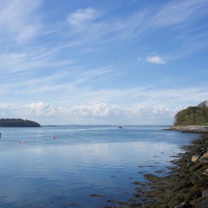 Portaferry Blue
