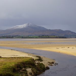 Sun, Sand & Snow