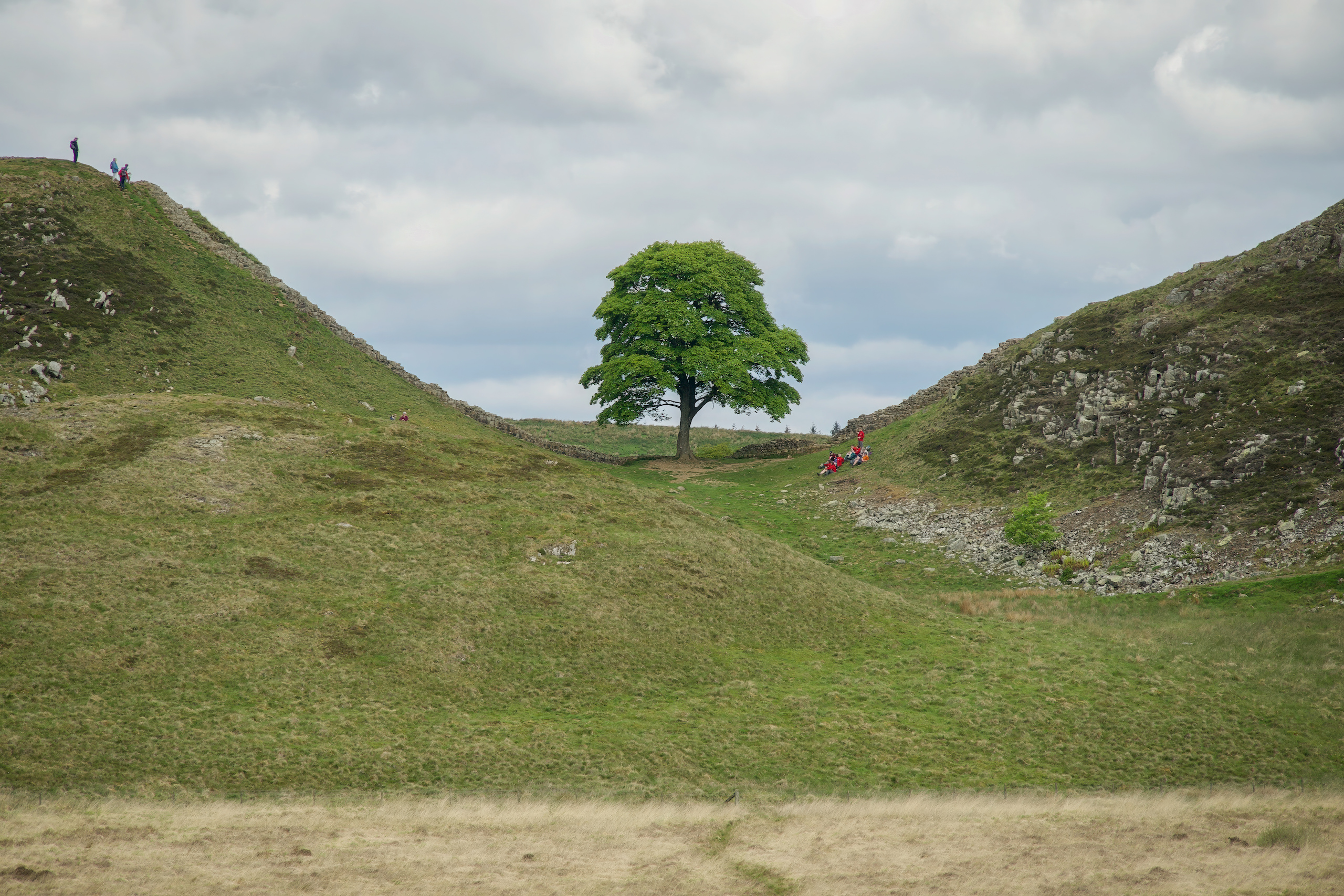 Sycamore Gap