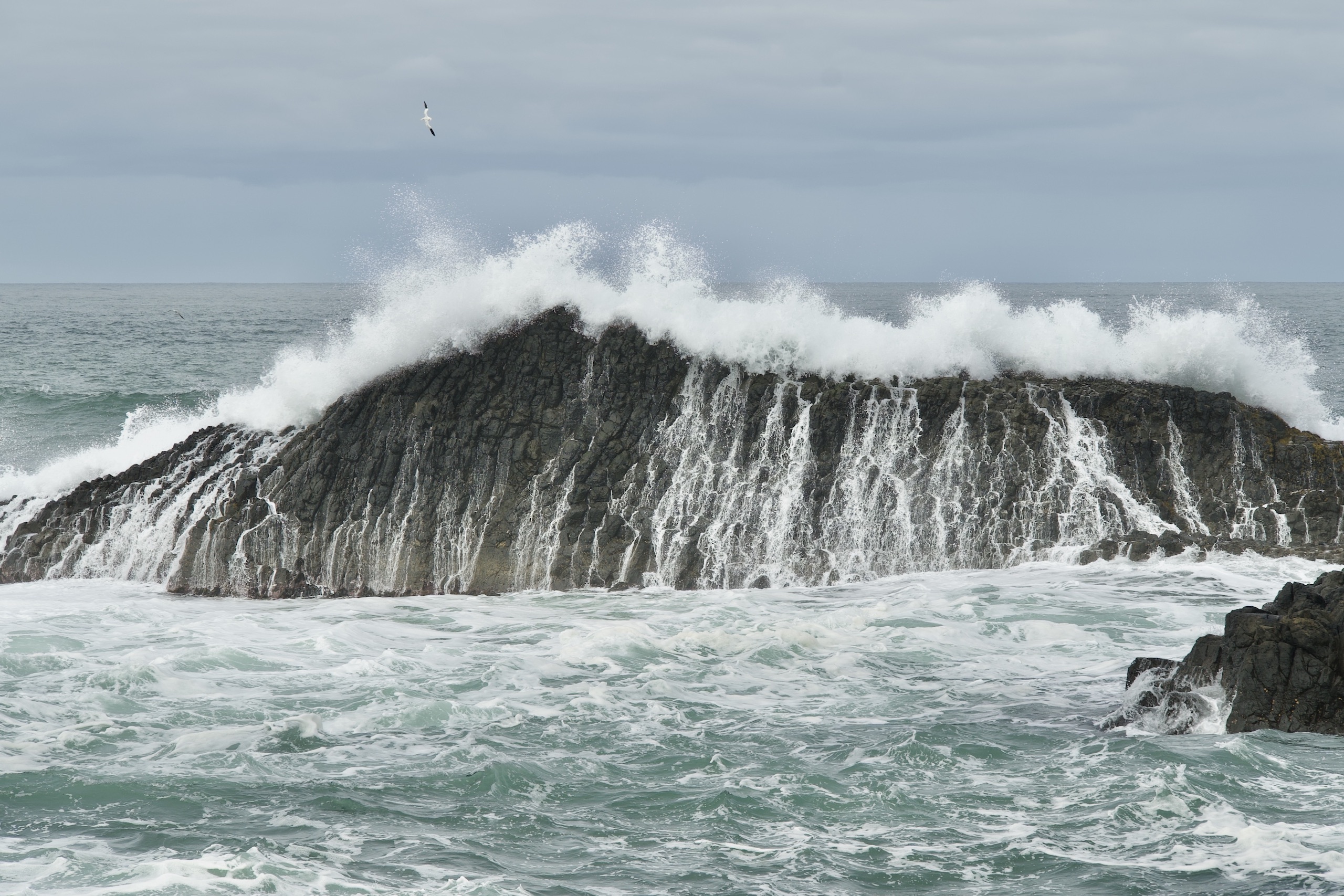 Thundering Tide